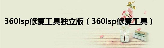 360lsp修复工具独立版(360lsp修复工具)