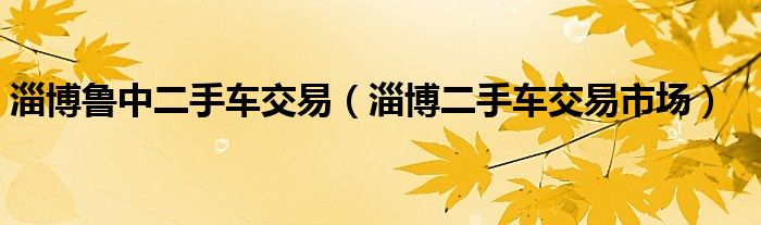 淄博鲁中二手车交易(淄博二手车交易市场)
