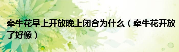 牵牛花早上开放晚上闭合为什么(牵牛花开放了好像)