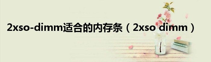 2xso-dimm适合的内存条(2xso dimm)