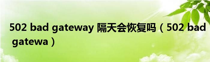 502 bad gateway 隔天会恢复吗(502 bad gatewa)