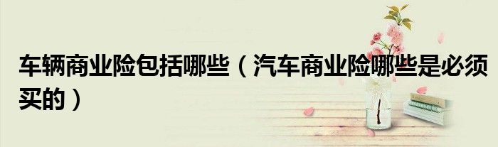 车辆商业险包括哪些(汽车商业险哪些是必须买的)