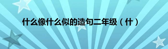 什么像什么似的造句二年级(什)