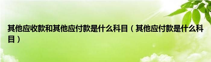 其他应收款和其他应付款是什么科目(其他应付款是什么科目)