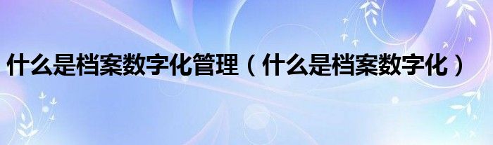 什么是档案数字化管理(什么是档案数字化)