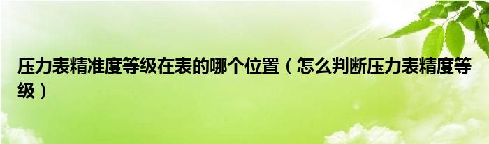 压力表精准度等级在表的哪个位置(怎么判断压力表精度等级)
