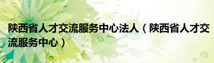 陕西省人才交流服务中心法人(陕西省人才交流服务中心)