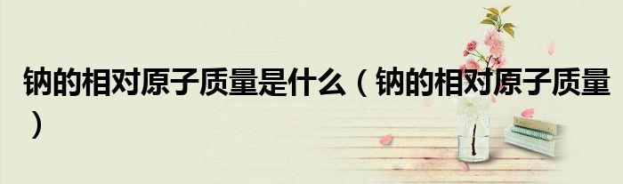 钠的相对原子质量是什么(钠的相对原子质量)
