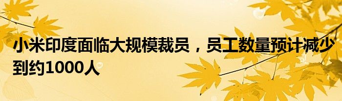 小米印度面临大规模裁员,员工数量预计减少到约1000人