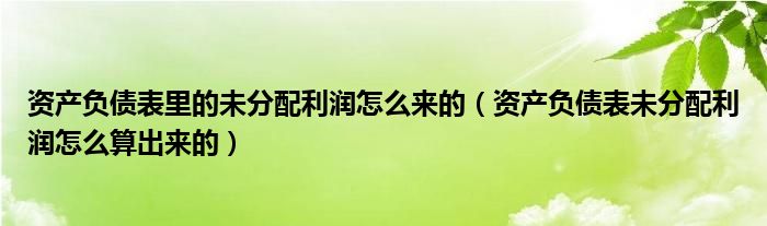 资产负债表里的未分配利润怎么来的(资产负债表未分配利润怎么算出来的)