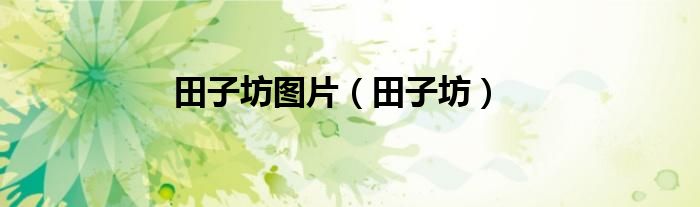 田子坊图片（田子坊）