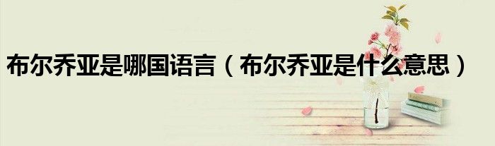 布尔乔亚是哪国语言(布尔乔亚是什么意思)