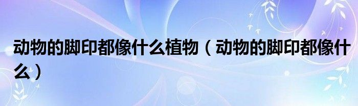 动物的脚印都像什么植物(动物的脚印都像什么)