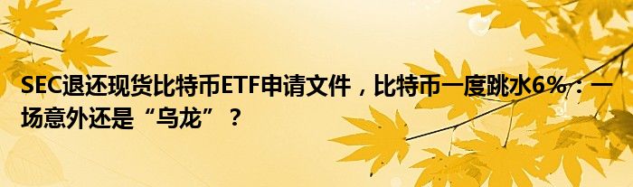 SEC退还现货比特币ETF申请文件,比特币一度跳水6%:一场意外还是“乌龙”?