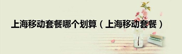 上海移动套餐哪个划算(上海移动套餐)