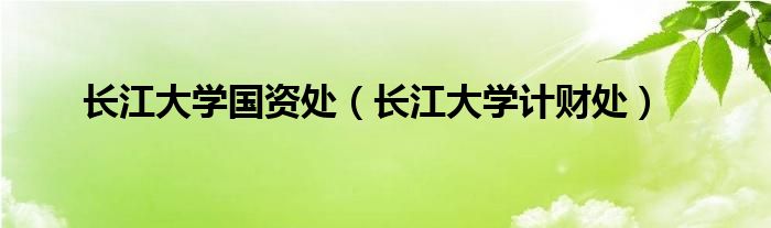 长江大学国资处(长江大学计财处)