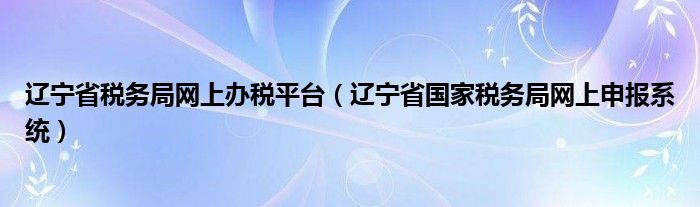 辽宁省税务局网上办税平台(辽宁省国家税务局网上申报系统)