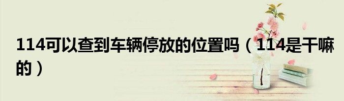 114可以查到车辆停放的位置吗(114是干嘛的)