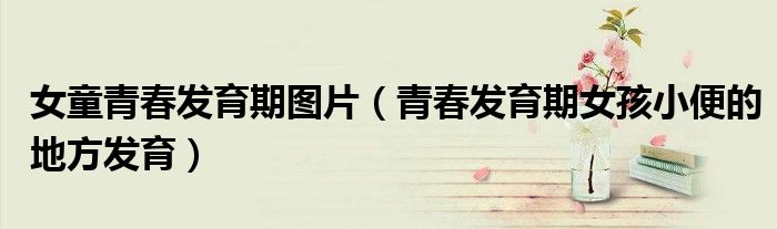 女童青春发育期图片(青春发育期女孩小便的地方发育)