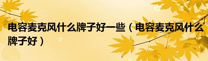 电容麦克风什么牌子好一些(电容麦克风什么牌子好)