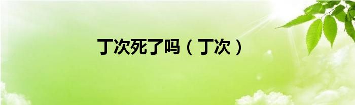 丁次死了吗（丁次）