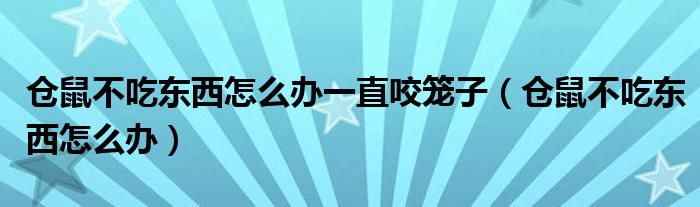 仓鼠不吃东西怎么办一直咬笼子(仓鼠不吃东西怎么办)