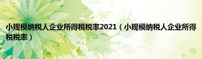 小规模纳税人企业所得税税率2021(小规模纳税人企业所得税税率)