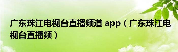 广东珠江电视台直播频道 app(广东珠江电视台直播频)