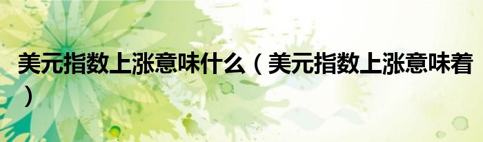 美元指数上涨意味什么(美元指数上涨意味着)