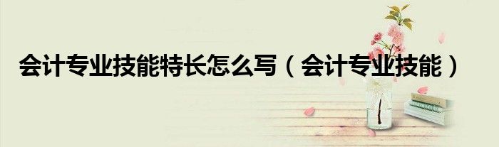 会计专业技能特长怎么写(会计专业技能)