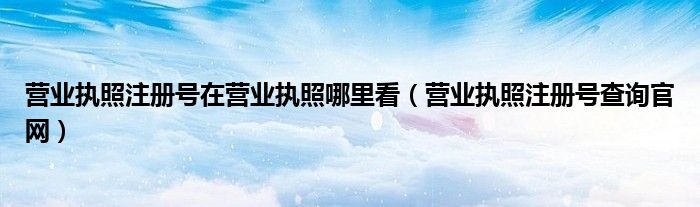 营业执照注册号在营业执照哪里看(营业执照注册号查询官网)
