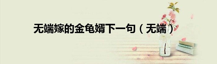 无端嫁的金龟婿下一句(无端)