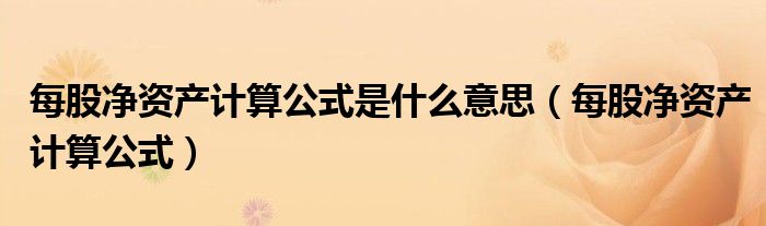 每股净资产计算公式是什么意思(每股净资产计算公式)