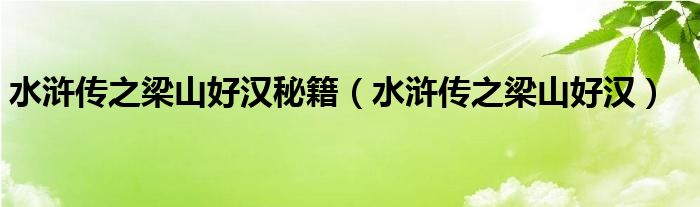 水浒传之梁山好汉秘籍(水浒传之梁山好汉)