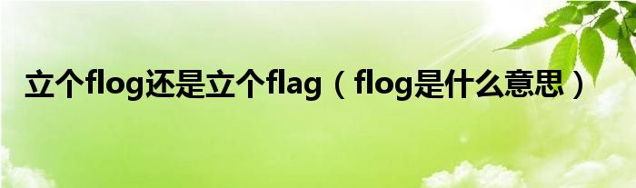 立个flog还是立个flag(flog是什么意思)