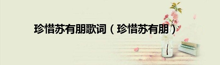珍惜苏有朋歌词(珍惜苏有朋)