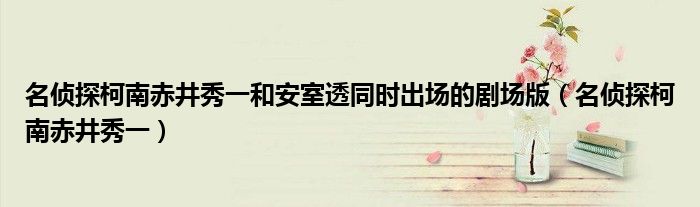 名侦探柯南赤井秀一和安室透同时出场的剧场版(名侦探柯南赤井秀一)