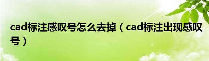cad标注感叹号怎么去掉(cad标注出现感叹号)