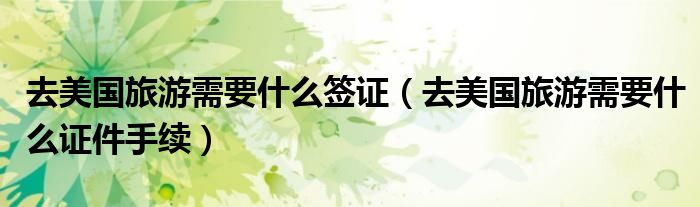去美国旅游需要什么签证(去美国旅游需要什么证件手续)