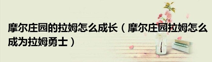 摩尔庄园的拉姆怎么成长(摩尔庄园拉姆怎么成为拉姆勇士)