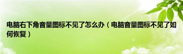 电脑右下角音量图标不见了怎么办(电脑音量图标不见了如何恢复)