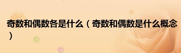 奇数和偶数各是什么(奇数和偶数是什么概念)