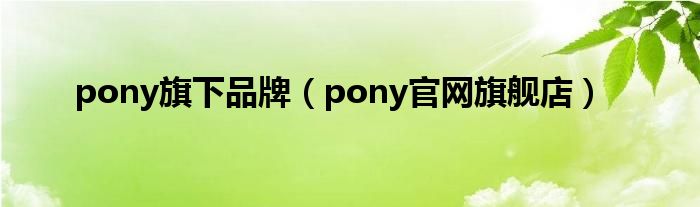 pony旗下品牌(pony官网旗舰店)
