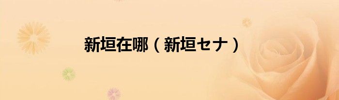 新垣在哪（新垣セナ）