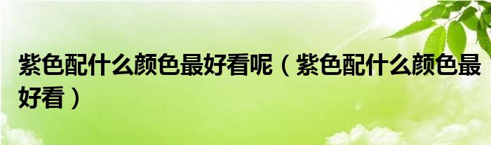 紫色配什么颜色最好看呢(紫色配什么颜色最好看)