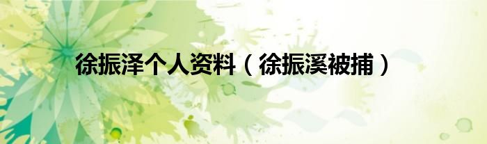 徐振泽个人资料(徐振溪被捕)