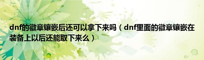 dnf的徽章镶嵌后还可以拿下来吗(dnf里面的徽章镶嵌在装备上以后还能取下来么)