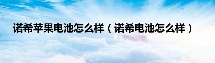 诺希苹果电池怎么样(诺希电池怎么样)