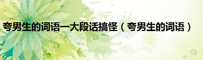 夸男生的词语一大段话搞怪(夸男生的词语)