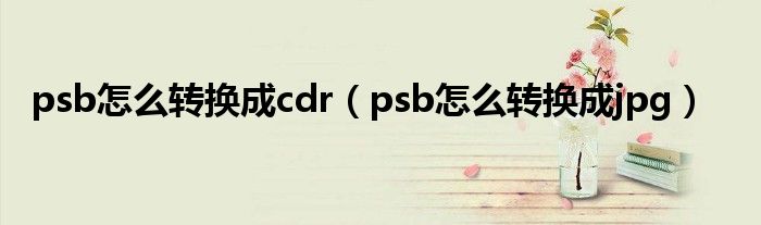 psb怎么转换成cdr(psb怎么转换成jpg)